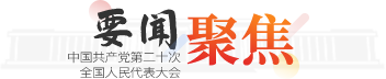 工作动态
