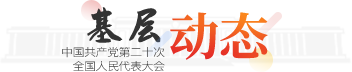 学习平台